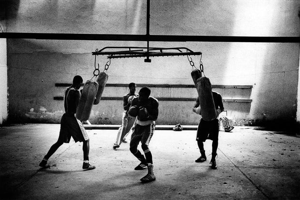 THIERRY LE GOUES - 4 boxers training with bags