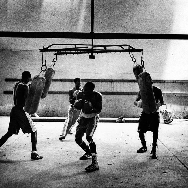 THIERRY LE GOUES - 4 boxers training with bags