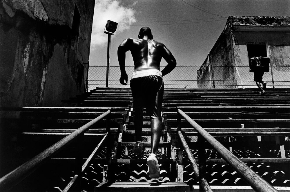 THIERRY LE GOUES - Havana Boxing Club, 