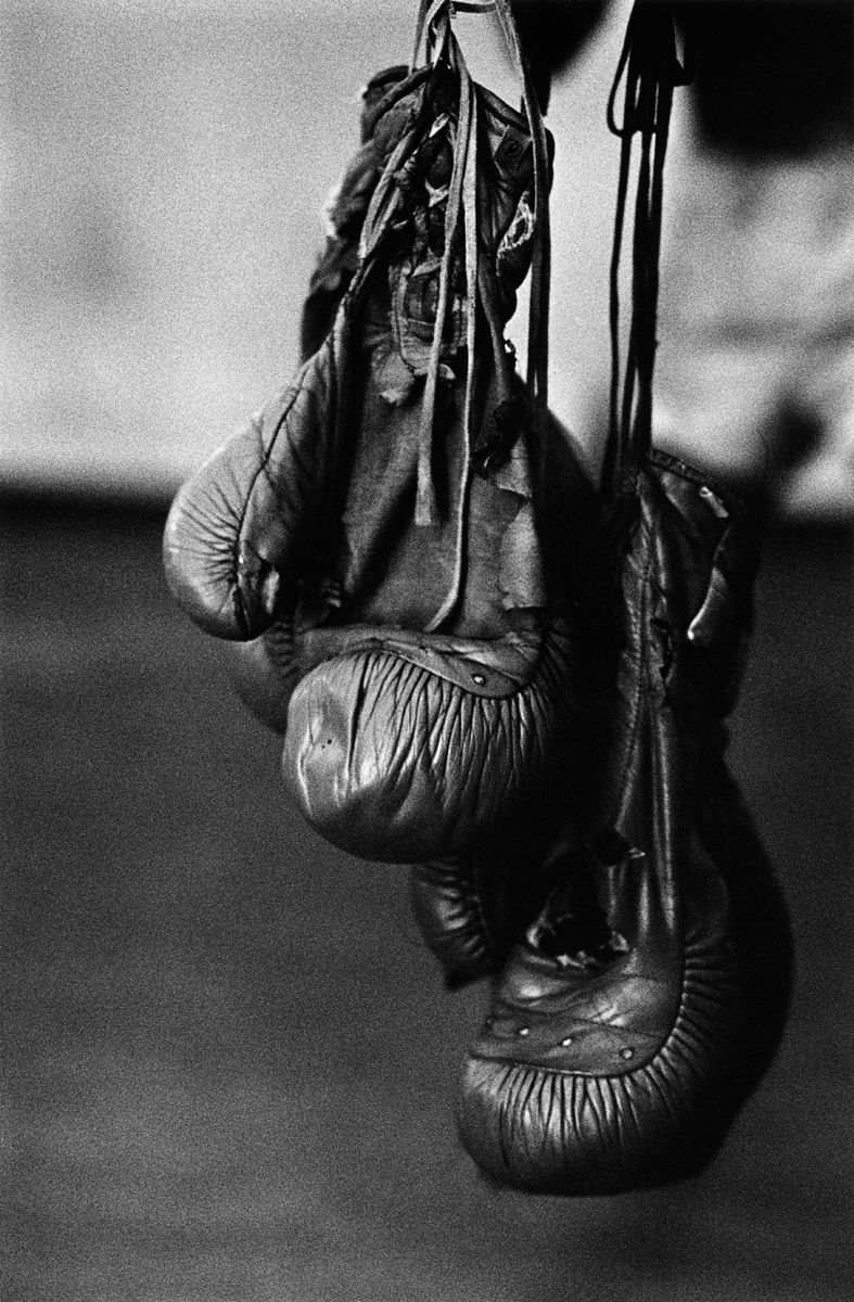 THIERRY LE GOUES - Havana Boxing Club "Boxing Gloves"