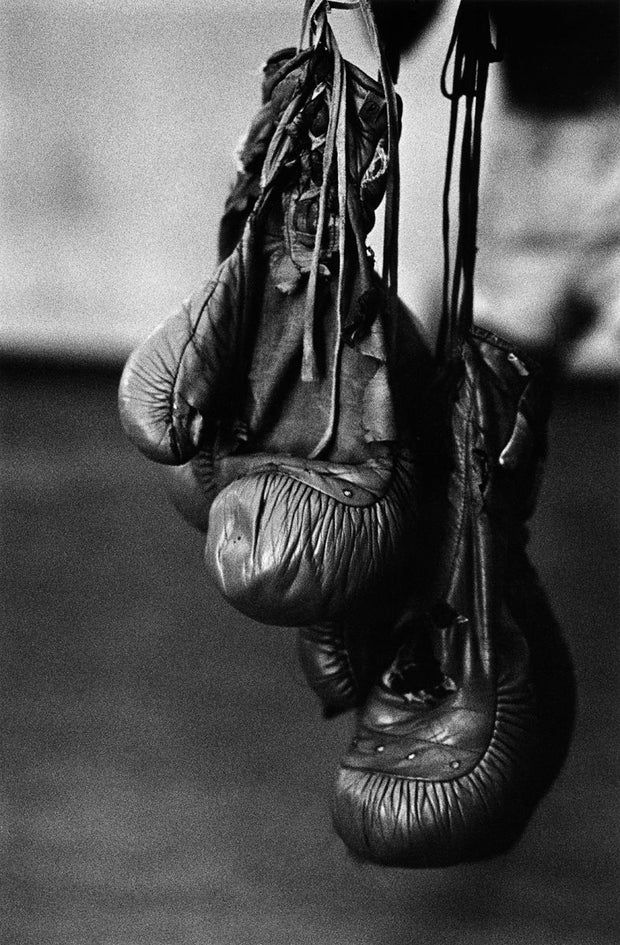 THIERRY LE GOUES - Havana Boxing Club "Boxing Gloves"