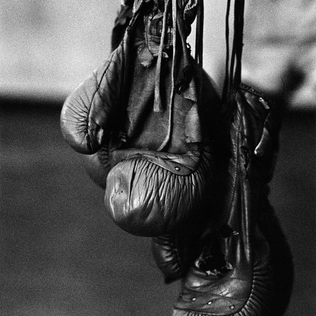 THIERRY LE GOUES - Havana Boxing Club "Boxing Gloves"