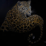 YUAN HENRY - Silent Sovereign Leopard