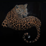 YUAN HENRY - Silent Sovereign Leopard