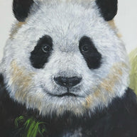 YUAN HENRY - Panda