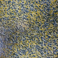 TANC - Beige Automatic Writing