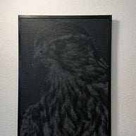 ANNA - Falcon Tribute