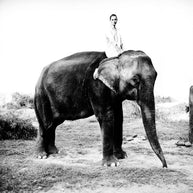 ARTHUR ELGORT - Kate on the Elephant , Népal 1994 pour Vogue