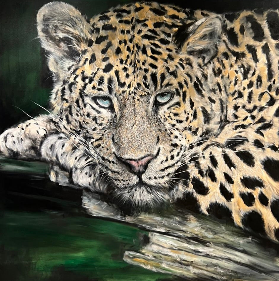 YUAN HENRY - Resting Leopard