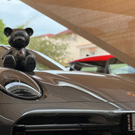NAOR - 35cm Porsche Tribute Teddy