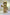 MHS - Gold Mario, LV Tribute 2023