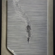 RAAMJI SHARMA - Folded Zebra