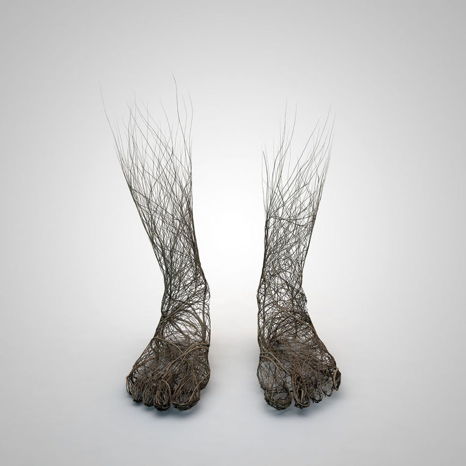 GRÉGOIRE A MEYER - Roots
