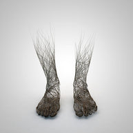 GRÉGOIRE A MEYER - Roots