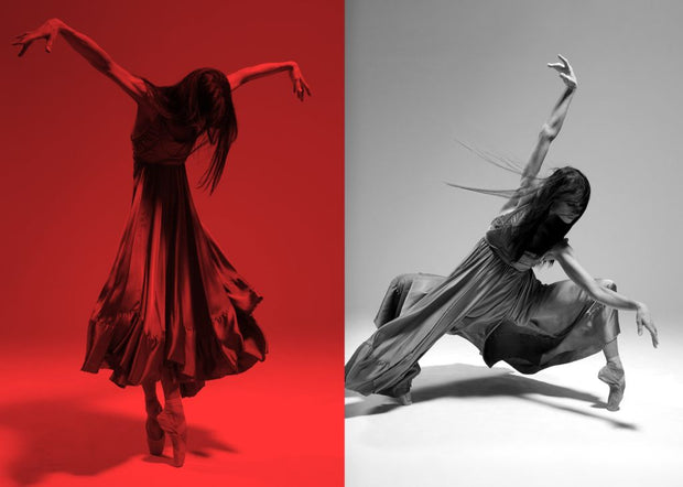PHILIPPE ROBERT - Delphine Moussin, Opéra National de Paris