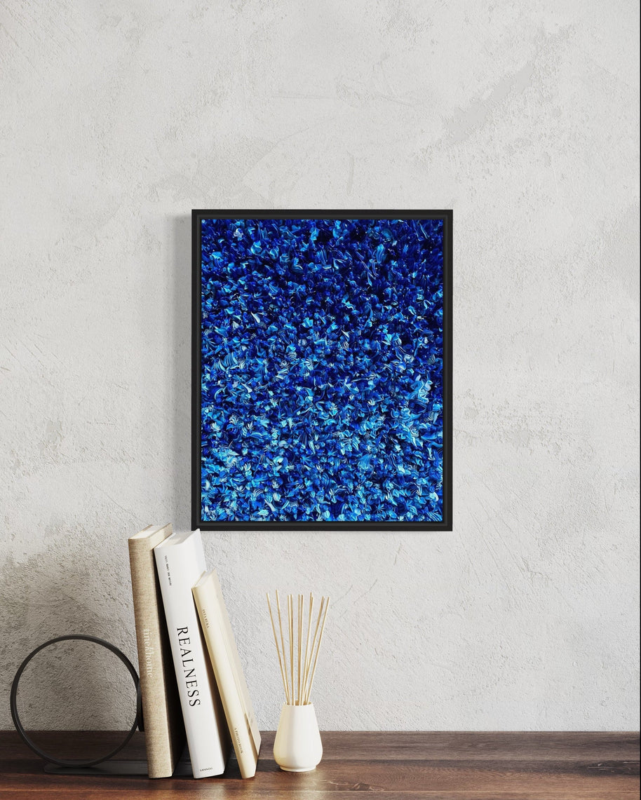 CHRISTOPHE SOLA- 50 Shades of Blue