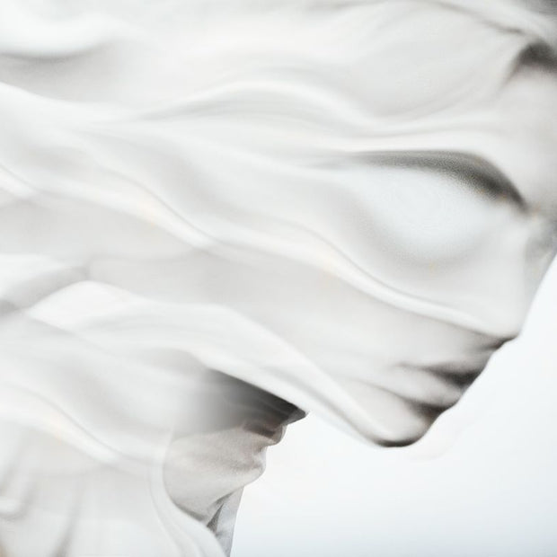 TOMAAS - Shapeshifter
