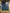 TANC - Untitled Blue Green Automatic Writing
