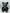 NAOR - 50cm CH Tribute black, white collar Teddy